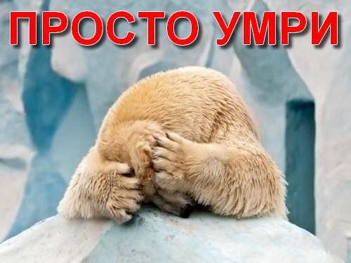 Звезда... вернее звездец