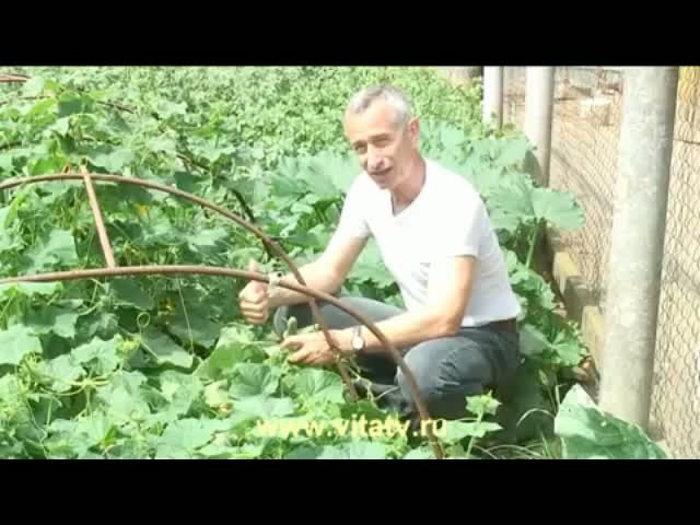 Тёща написала на меня заявление в полицию