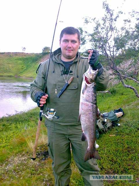 Немного Северной лирики