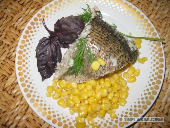 Кухня (кулинарное и околокулинарное общение)