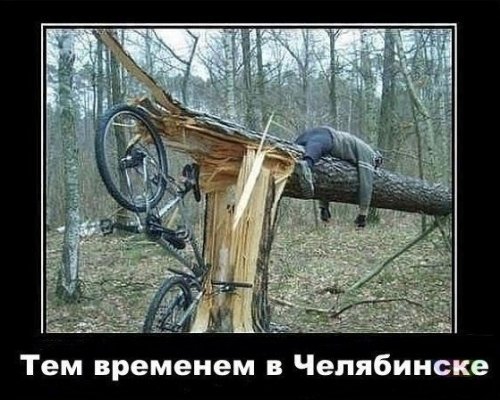 Демотиваторы на Субботу