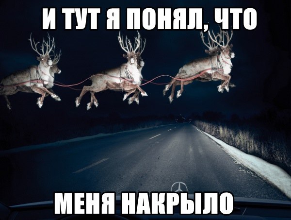 Забавные картинки из Сети