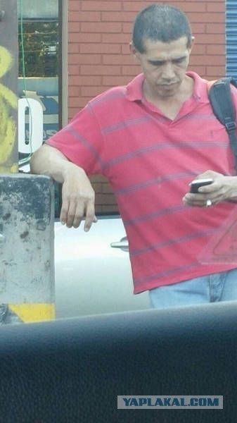 Забавные картинки из Сети