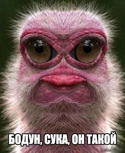 Разные картинки