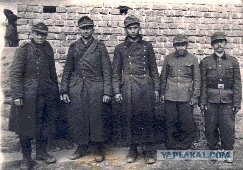 Рождественские страдания