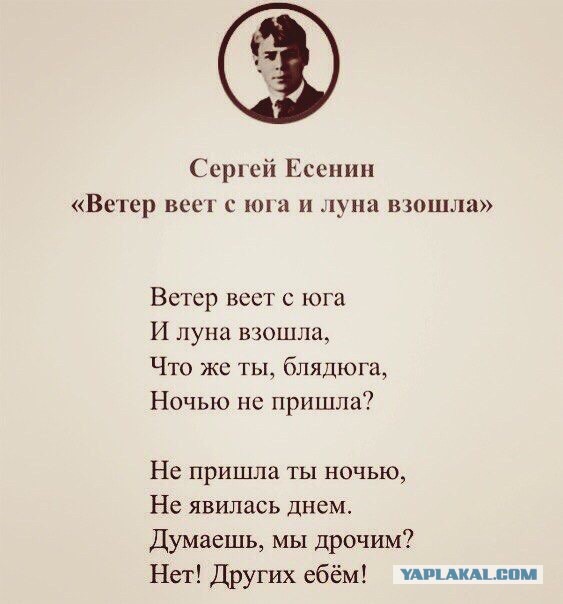 Весёлые картинки