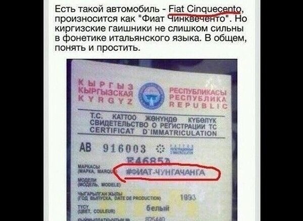 Бессмысленные и беспощадные объявления, вывески и реклама