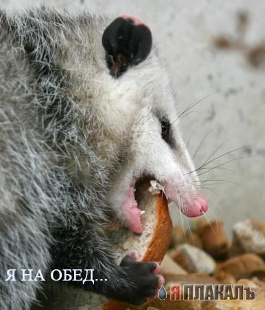 Уже да :) Ужо пятнецца...