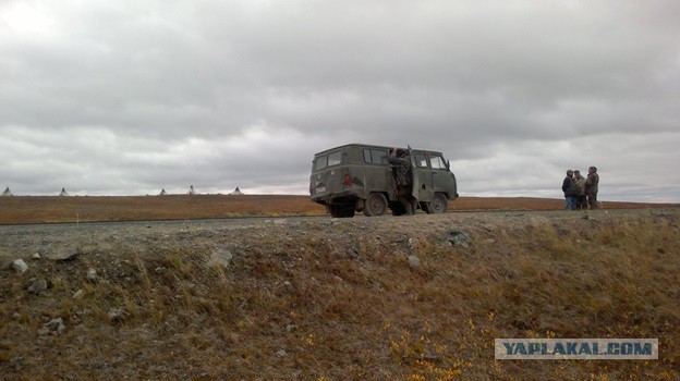 В гостях у загадочной ямальской тундры