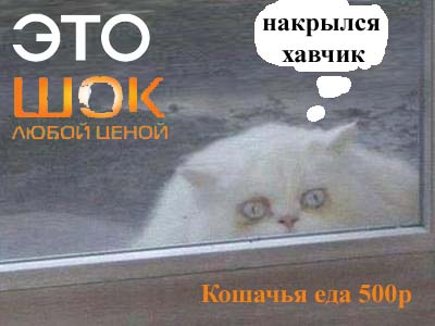 Барсик и Кеша (жесть)