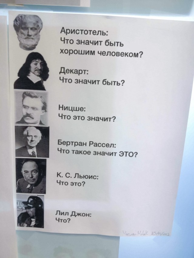 Девятилетняя боксерша крошит ствол березы в труху