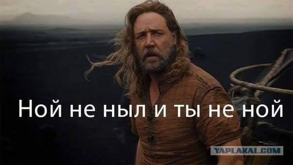 Ху Ли ты ноешь? (+18)