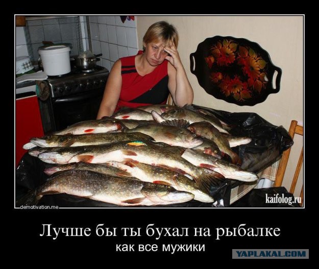 Охота и рыбалка глазами жены