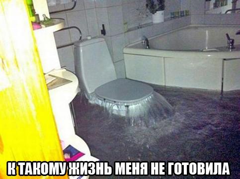 Подборка интересных и веселых картинок