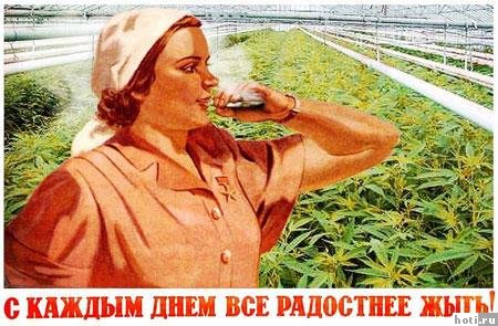 Подборка прикольных плакатов