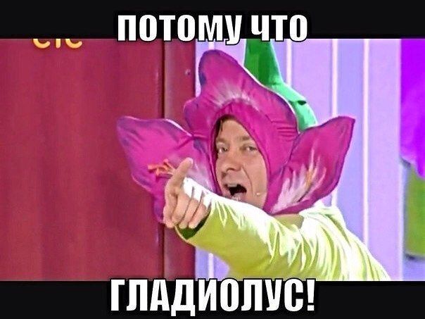 Смешные картинки