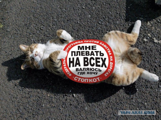Буксировка кота на малой скорости