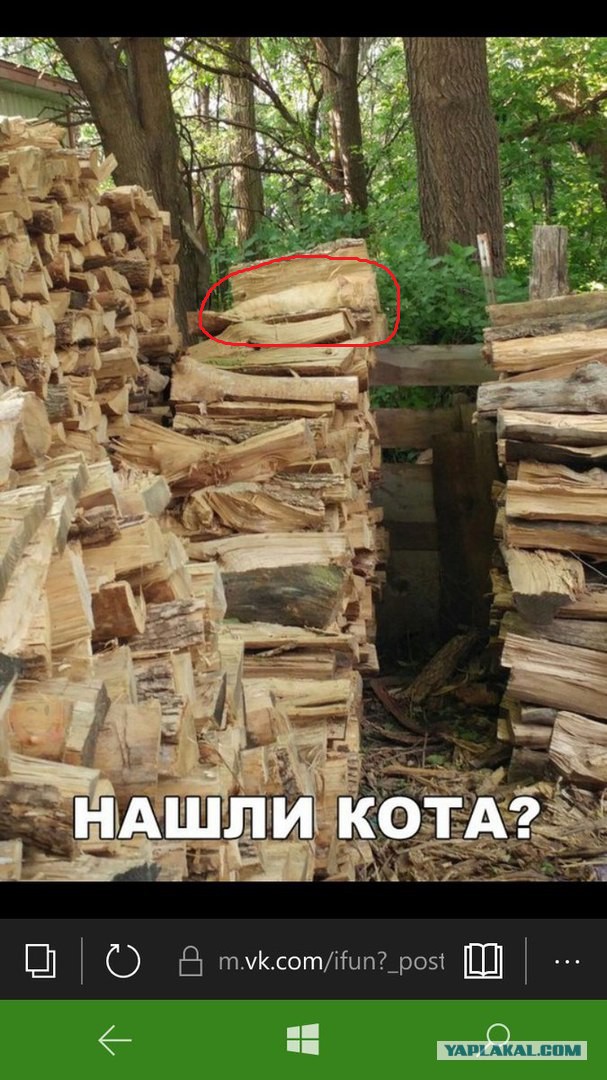 29 картинок