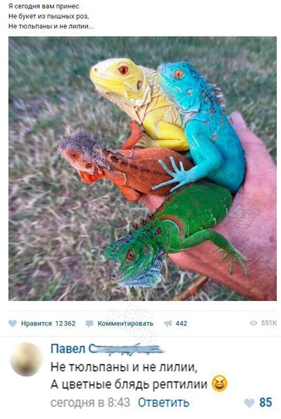 Картинки с глубочайшим жизненным смыслом