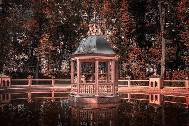 Фото интересные и не только