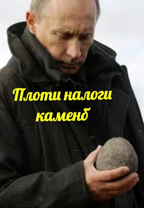 Скотсети и прочие интернеты