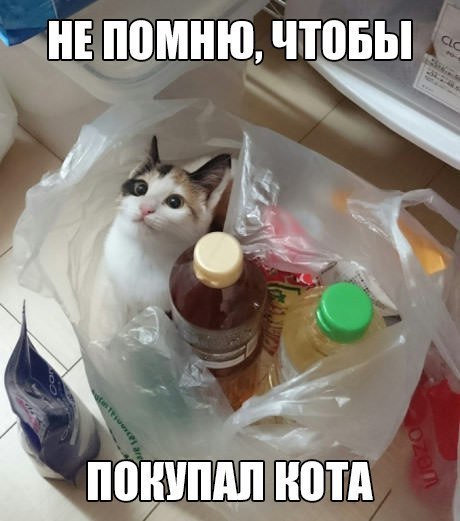 Просто картинки