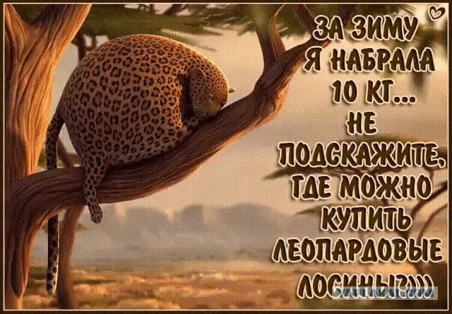 Вещи, которые превращают женщину в бабу