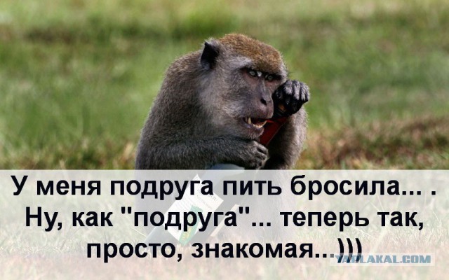 Даже у них есть секс