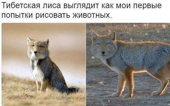 Смешные комментарии из социальных сетей.02.03.2018.