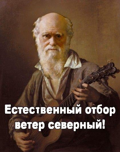 Еще один зацепер докатался