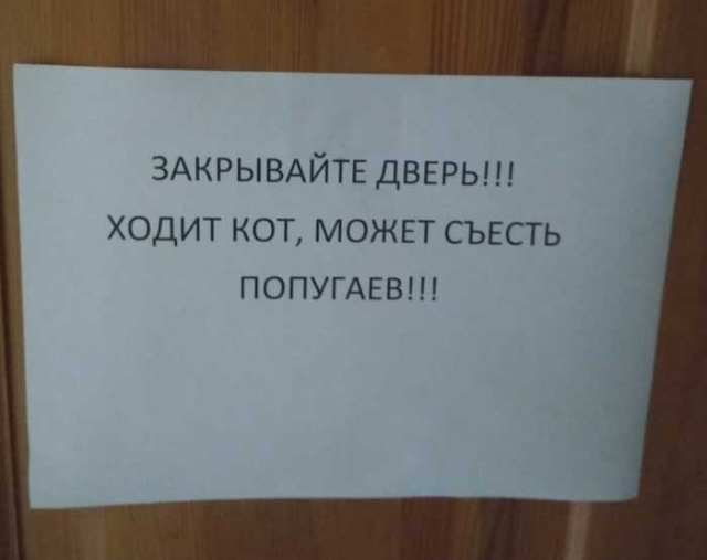 Прикольные надписи и объявления