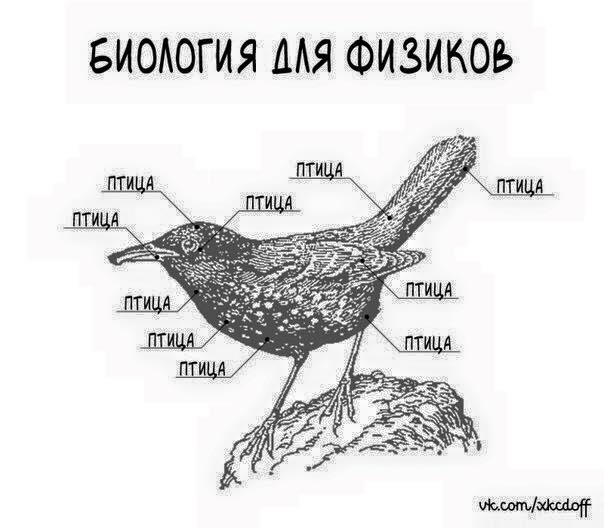 Немного юмора, умного