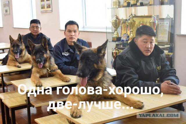 Подборка интересных и веселых картинок