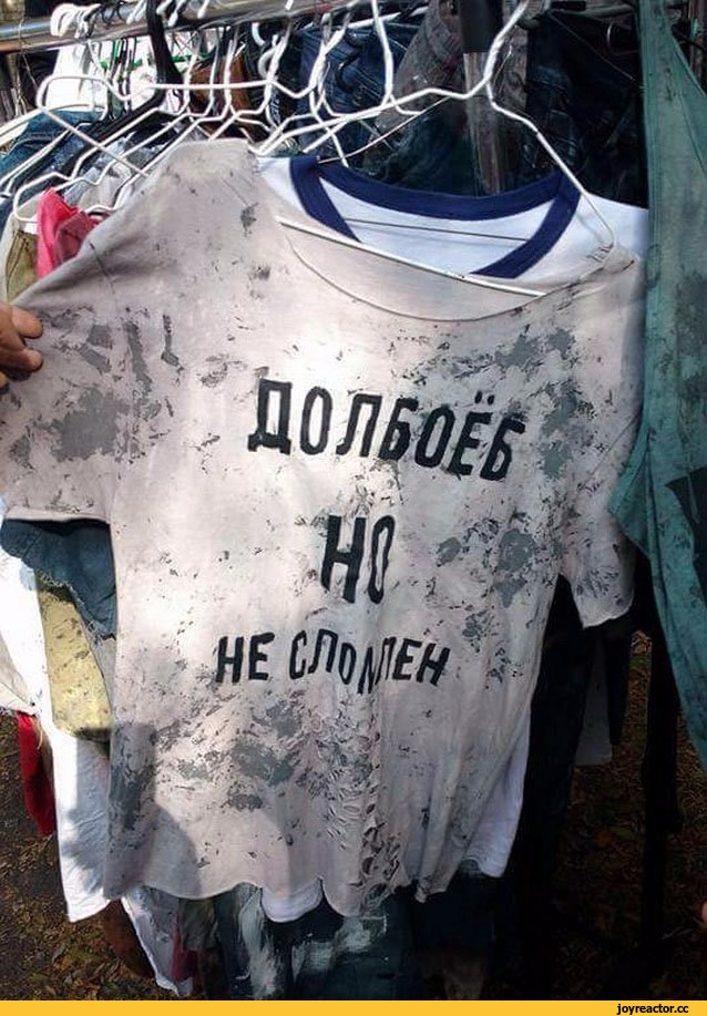 В Якутске на подростка напали два алабая. Он спасался на трансформаторном столбе