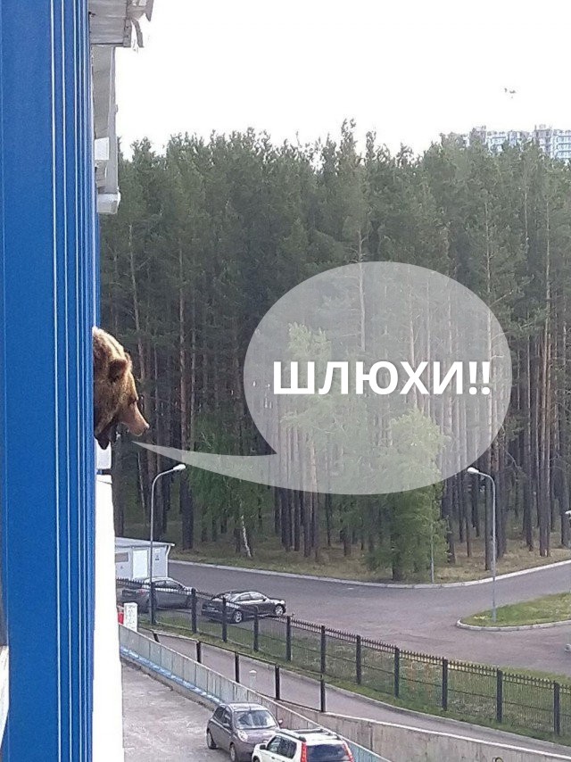 Подборка интересных и веселых картинок 04.06.19
