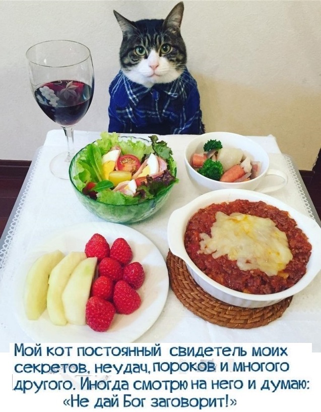А вы разговариваете с котом?