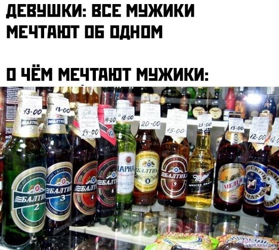 Применим физику в постели или белка и стрелка. Картинки