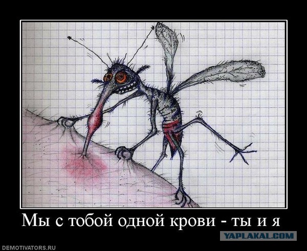 Наконец-то получены убедительные доказательства того, что мы не одиноки во Вселенной!