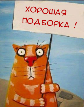 Август в деревне