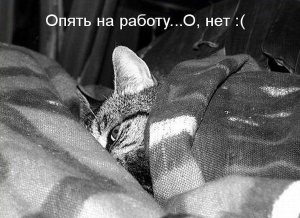 Чуток картинок.  Вечерние