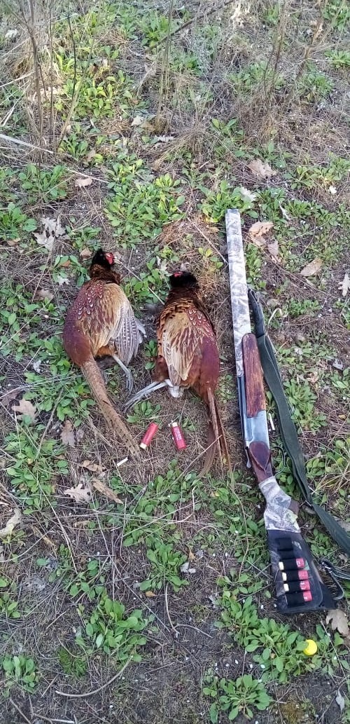 У людей уже заканчиваются деньги.