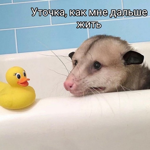 Немного картинок для настроения 18.05.20
