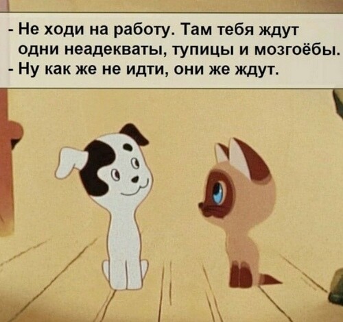 Немного картинок для настроения 29.05.20
