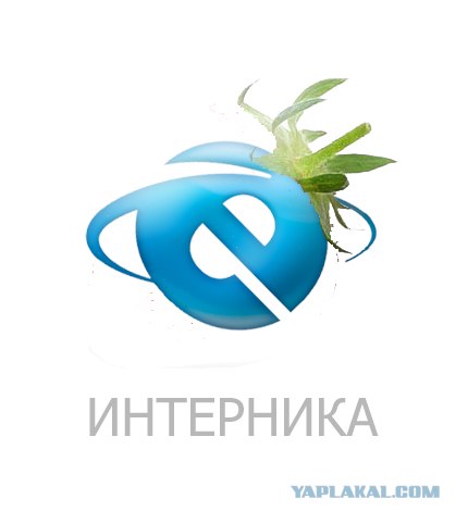 Фотожаба: Лето, фрукты, генетика!