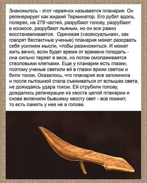 Так себе картинки 18.06.20