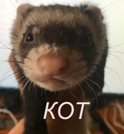 Польский суп с хреном и белыми колбасками