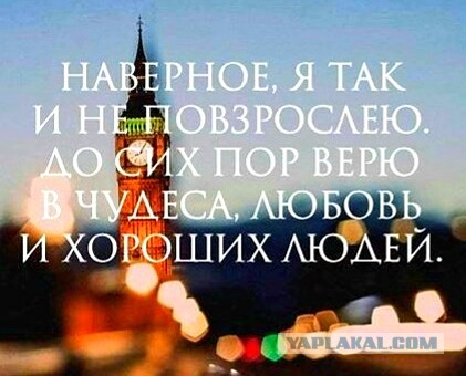О котах и людях нетрадиционной ориентации.