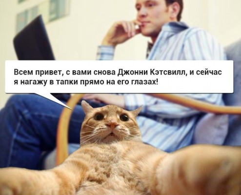 Приключения Джонни Кэтсвилла