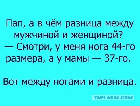 Немного картинок для настроения 04.10.20