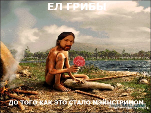 Фотожаба: Да грибам!